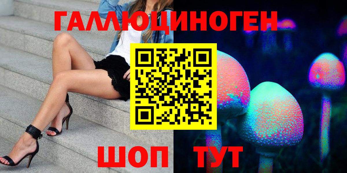 Пугачёв  Псилоцибиновые грибы GOLDEN TEACHER  Вход с VPN 